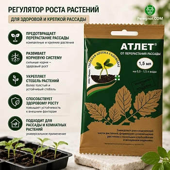 Атлет
