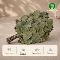 Дубовый веник для бани и сауны